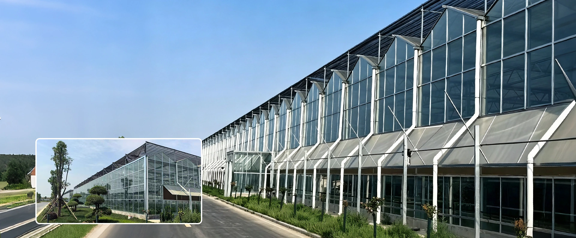 Fabrik für mehrfeldrige Gewächshäuser in China