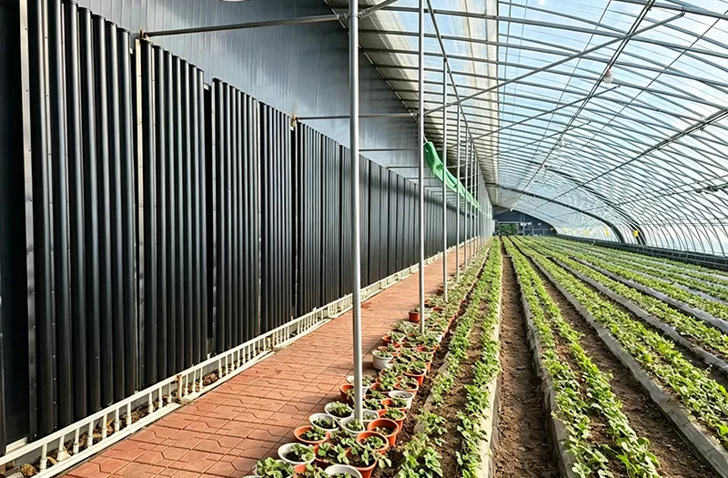 Wie können Landwirte die richtigen Solargewächshäuser für eine effiziente Pflanzenproduktion das ganze Jahr über auswählen?
