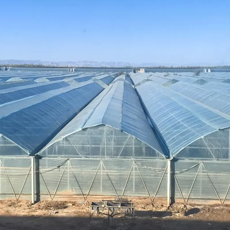 Was macht Foliengewächshäuser mit mehreren Spannweiten ideal für die kommerzielle Landwirtschaft?