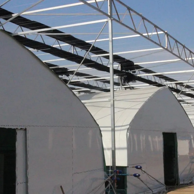 Bogenrundes Wärmespeicher-Solargewächshaus Bogenrundes Wärmespeicher-Solargewächshaus