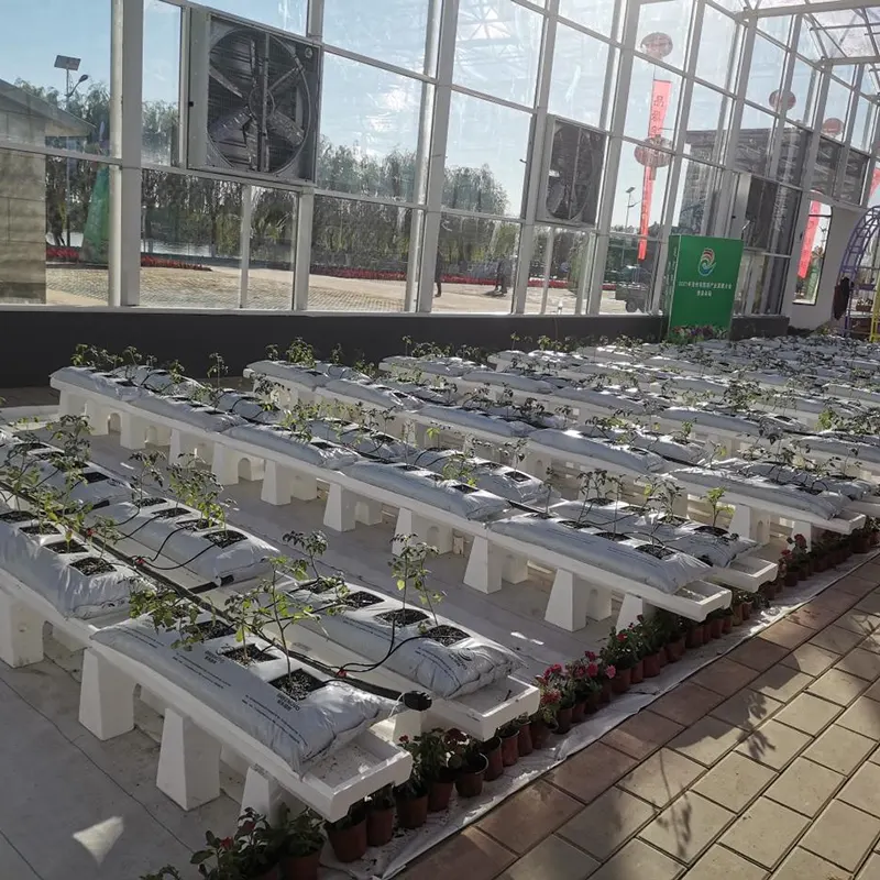 Single-Sided Sawtooth-Type Multi-Span Greenhouse