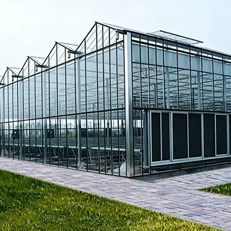 Low-E-Glas-Gewächshaus mit mehreren Spannweiten