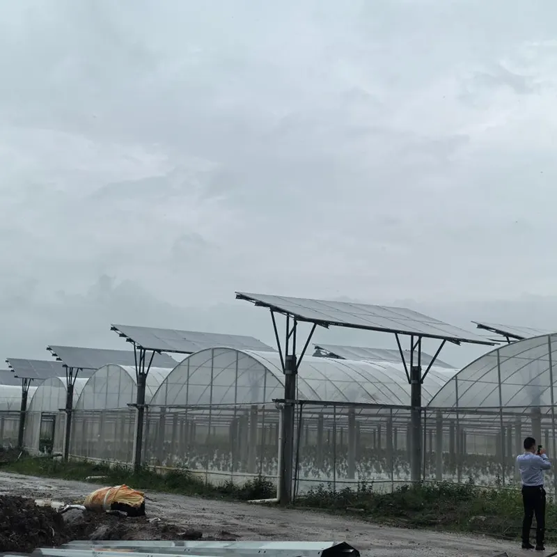 Mehrfeldgewächshaus mit Photovoltaikdach