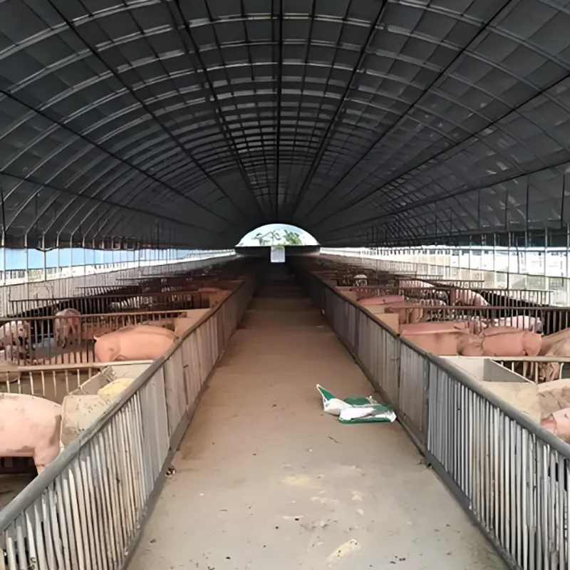 Schweinezuchtstall