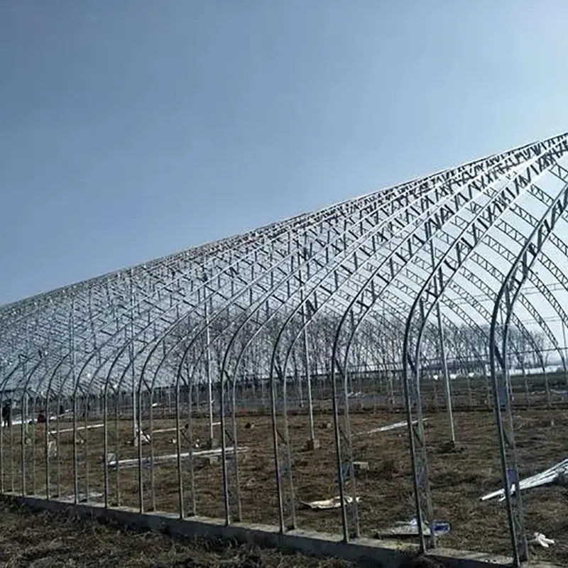 Vorgefertigtes Doppelfolienbogen-Solargewächshaus