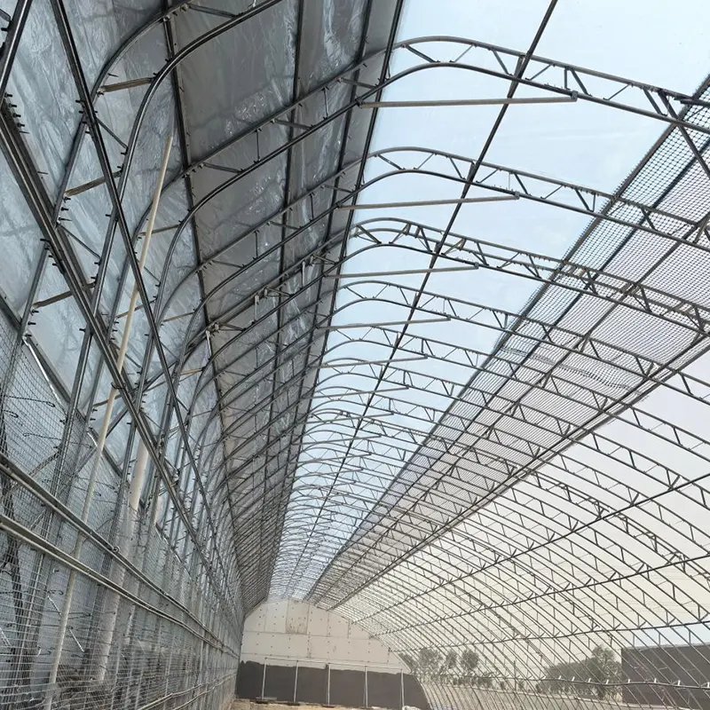 Vorgefertigtes Doppelfolien-Solargewächshaus mit einer Neigung