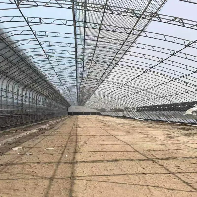 Vorgefertigtes Solargewächshaus mit Doppelstahlrahmen