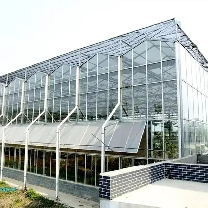Sägezahn-Gewächshaus mit mehreren Spannweiten und Oberlicht