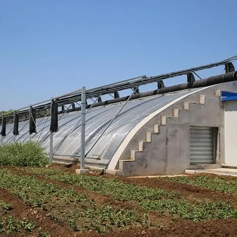Solargewächshaus mit geschweißtem Stahlfachwerk und einer Neigung